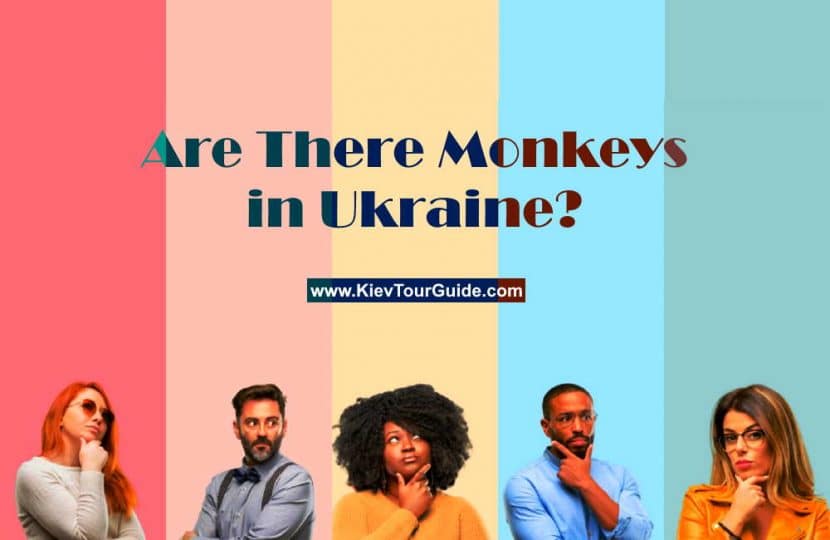 Are There Monkeys in Ukraine | Kiev tour guide